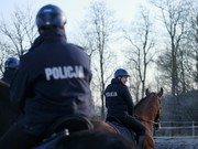 konie policyjne wraz z jeźdźcami w trakcie cotygodniowego szkolenia ujeżdżeniowego